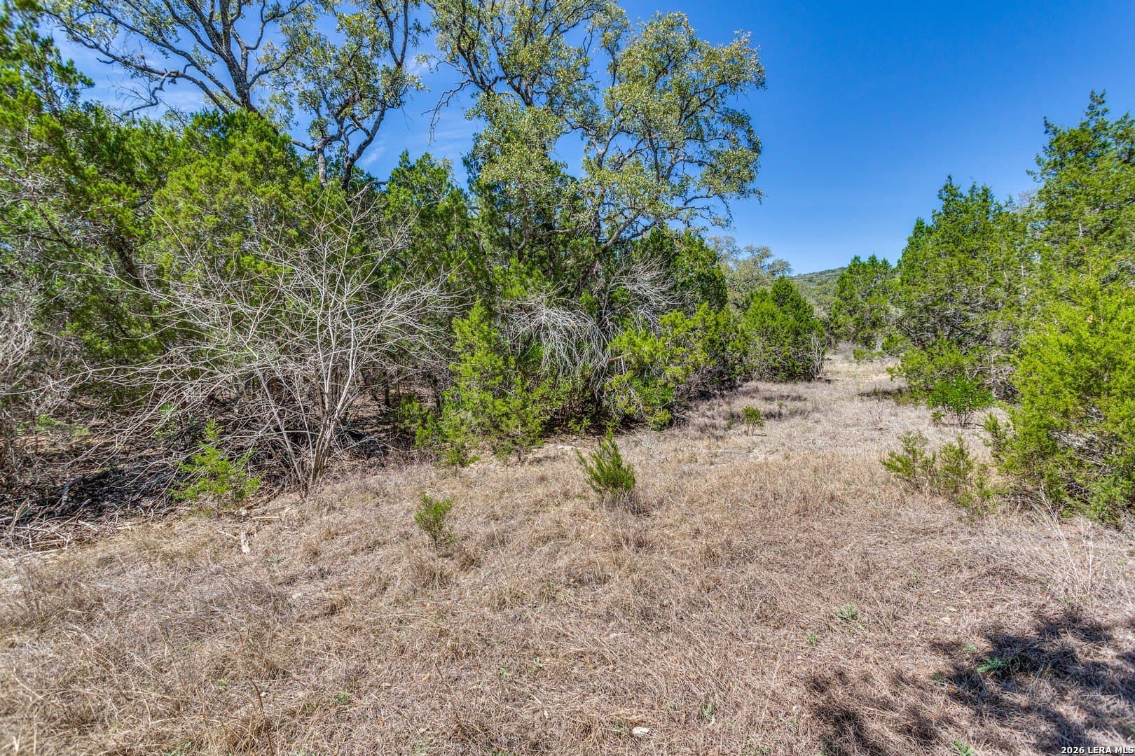15.17 acres in Bexar County - photo 7