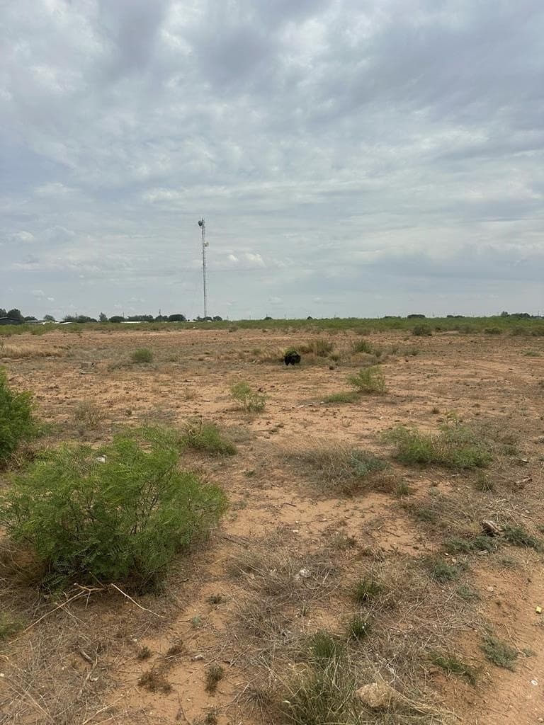 1 acres in Midland County