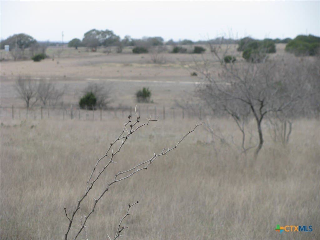 48 acres in Coryell County - photo 20