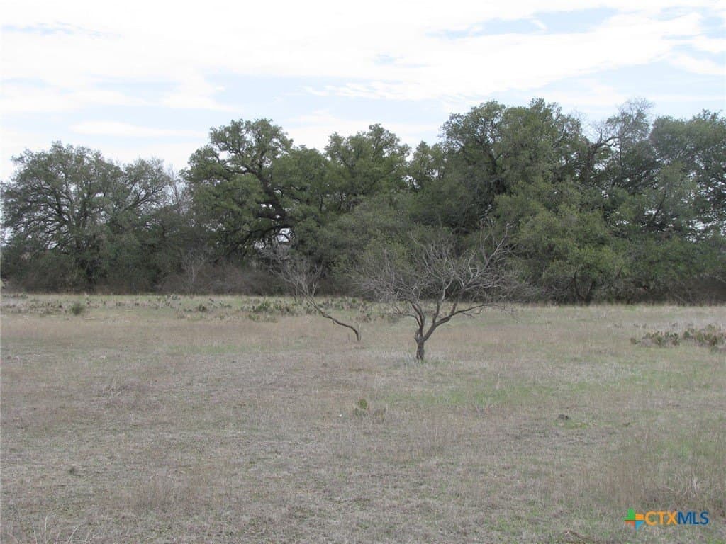 48 acres in Coryell County - photo 25