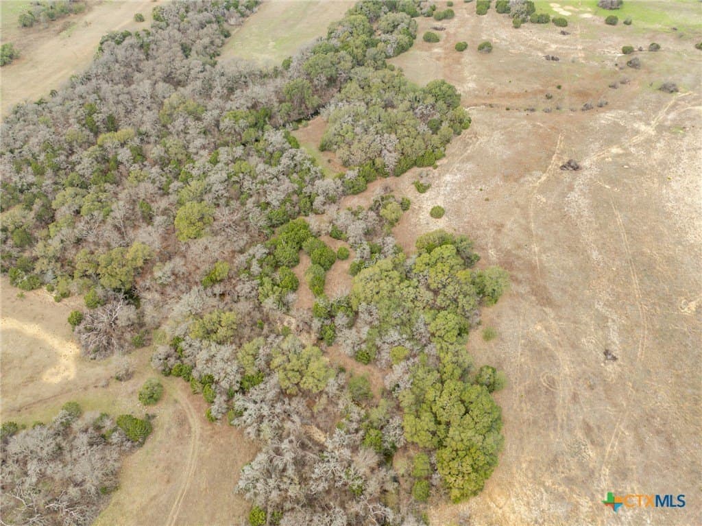 48 acres in Coryell County - photo 8