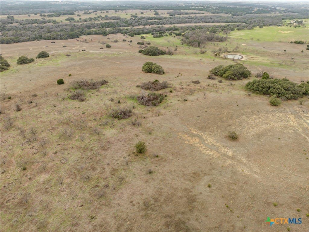 48 acres in Coryell County gallery image 4