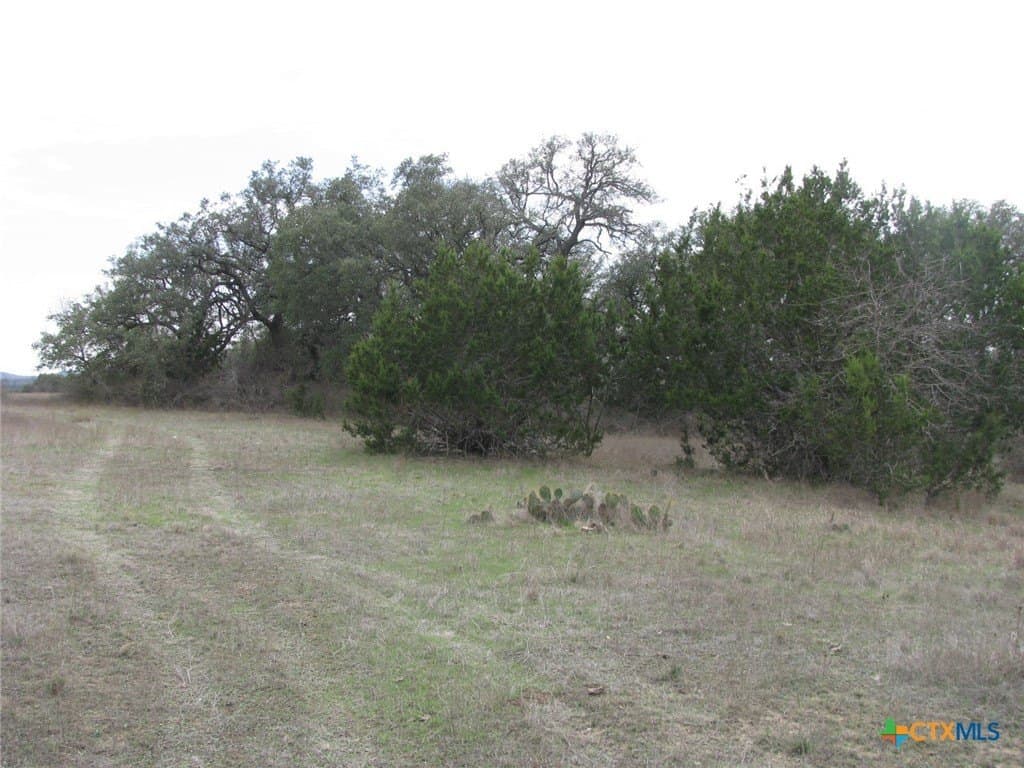 48 acres in Coryell County - photo 14