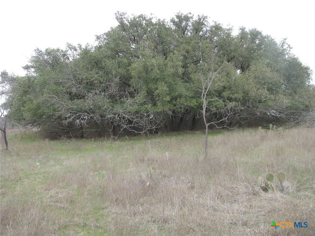 48 acres in Coryell County - photo 11