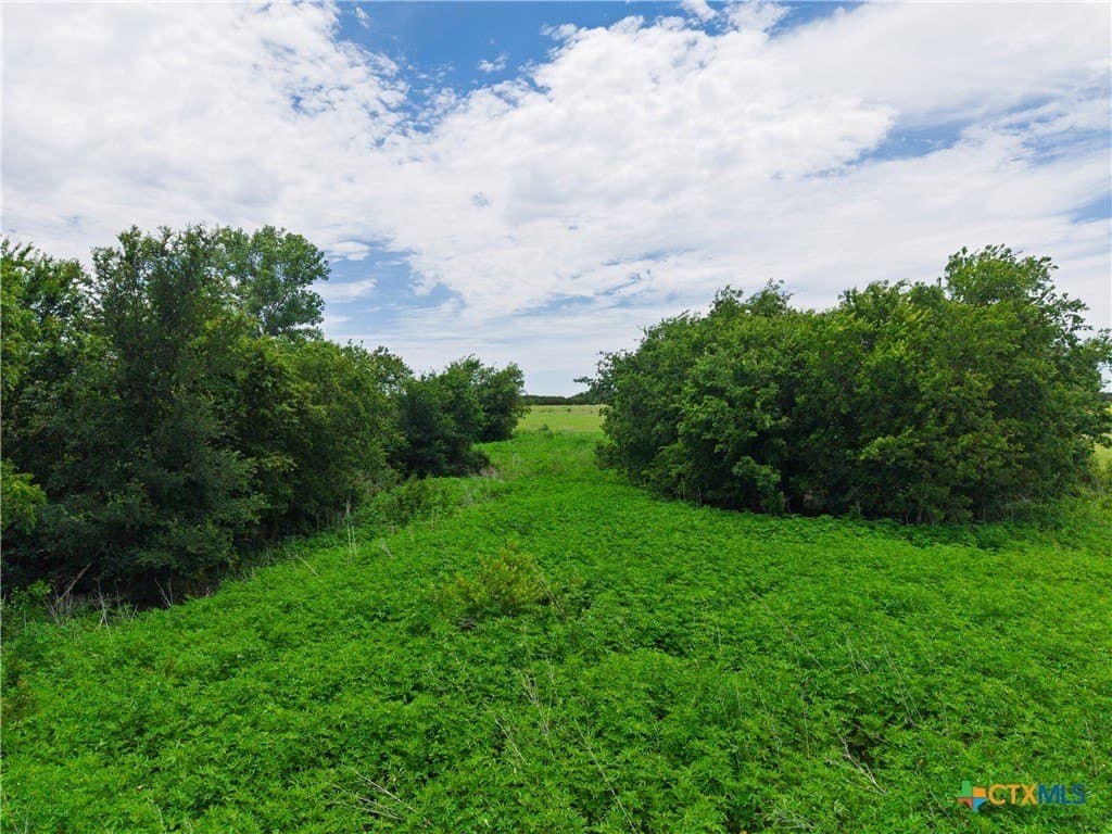 10.01 acres in Hamilton County - photo 10