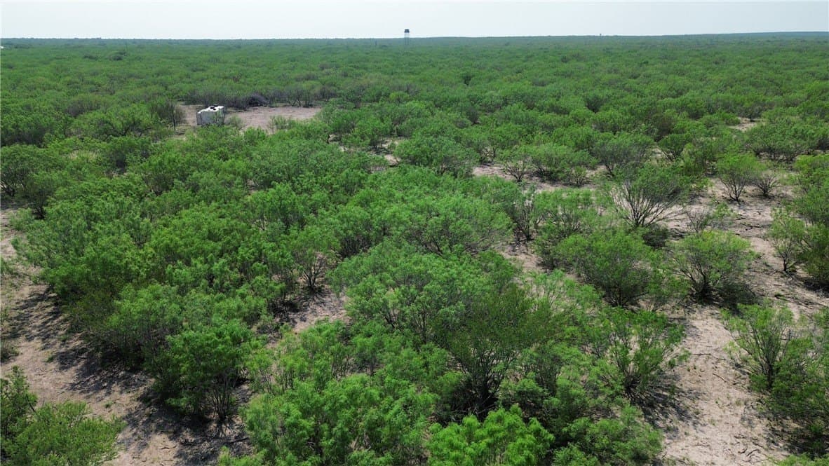 22.04 acres in Duval County gallery image 3