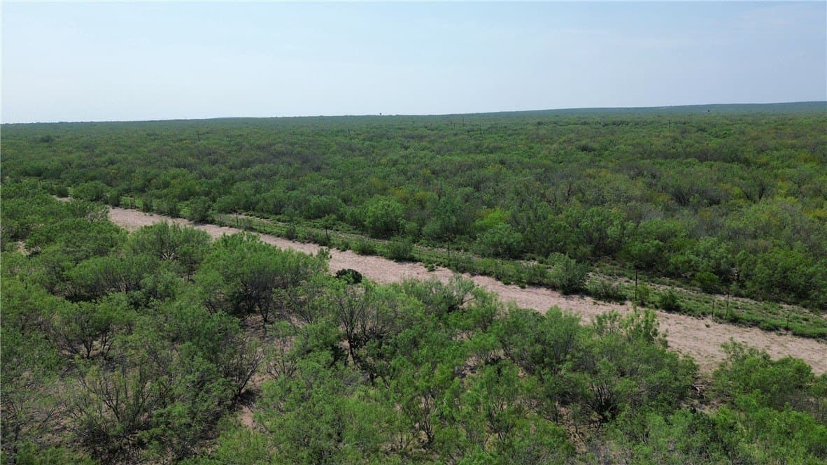 22.04 acres in Duval County gallery image 2