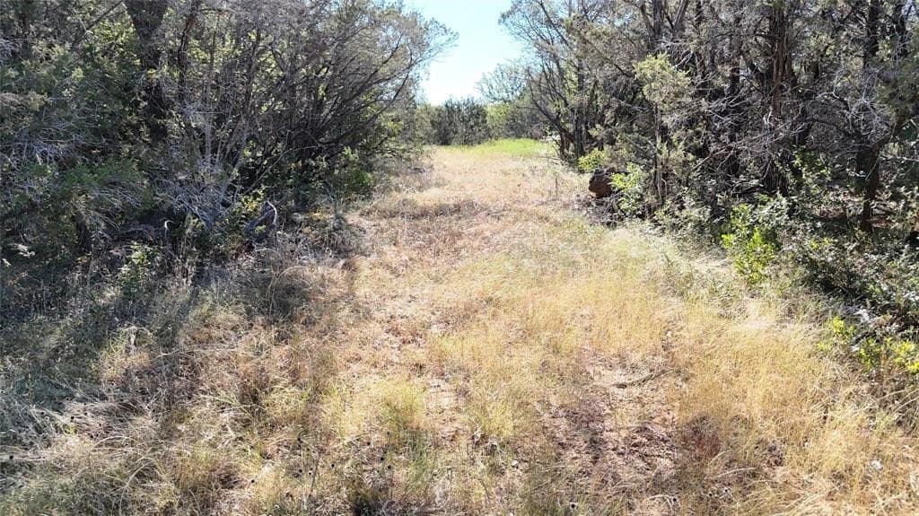 13.93 acres in Palo Pinto County gallery image 4