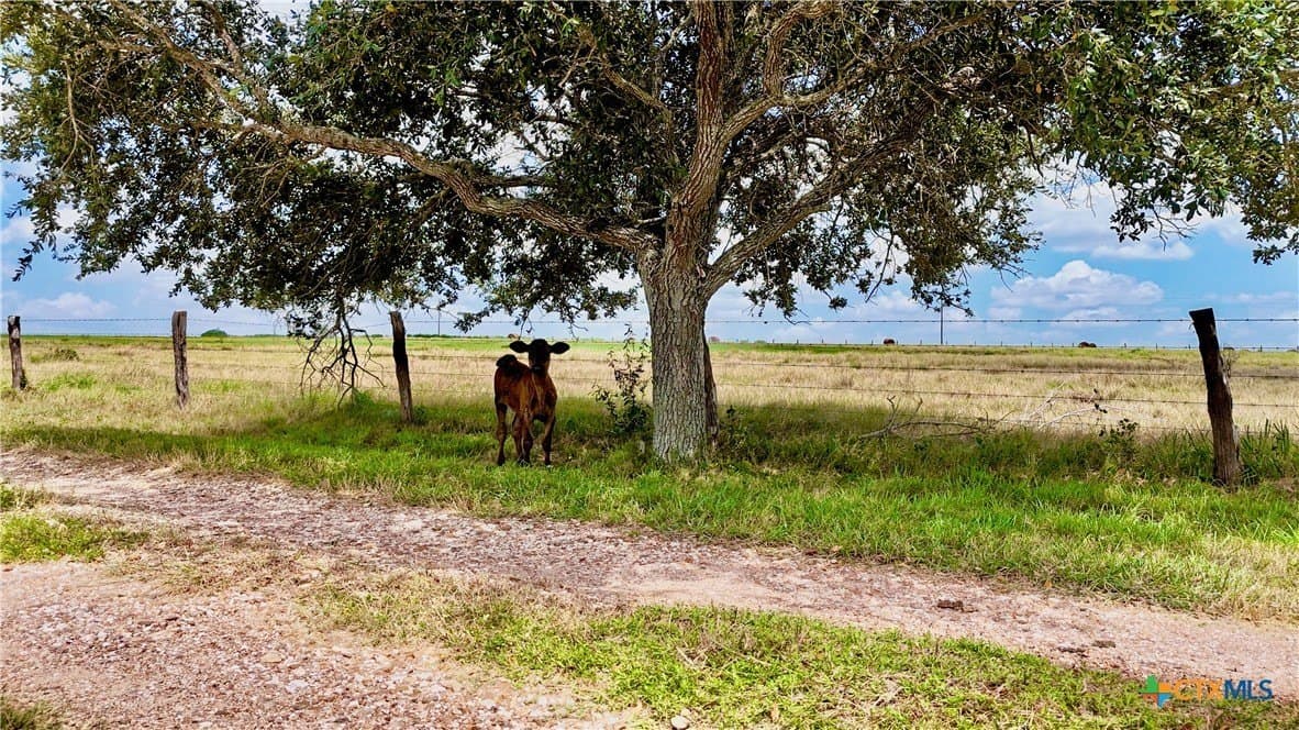 15.22 acres in Lavaca County - photo 43