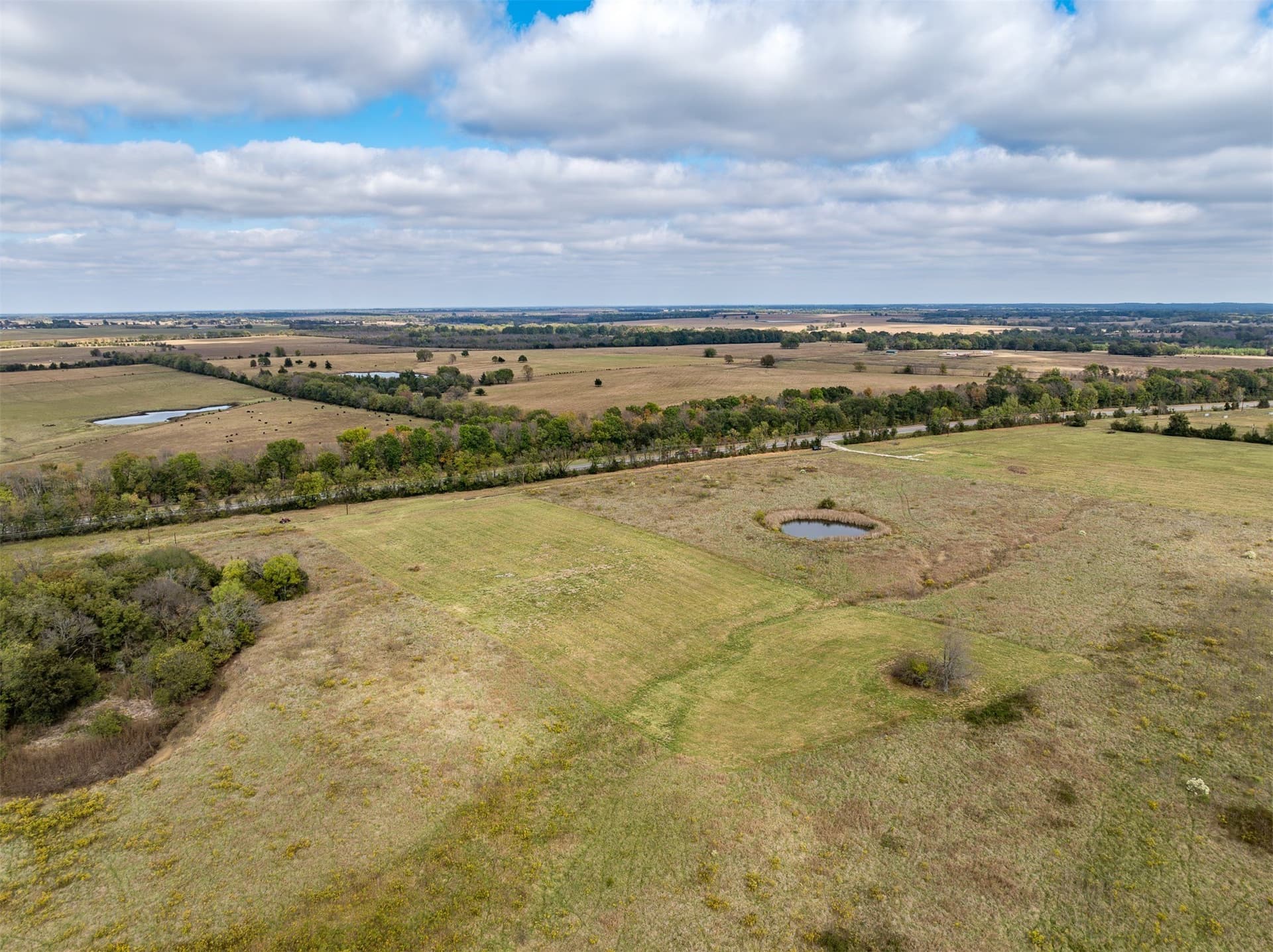 5 acres in Red River (TX) County - photo 9