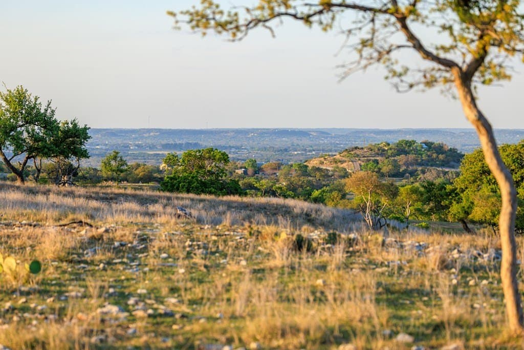 41 acres in Gillespie County - photo 16