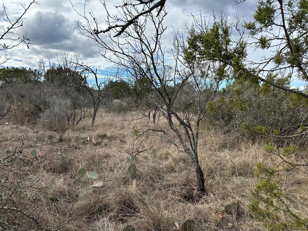 15 acres in Kimble County featured view