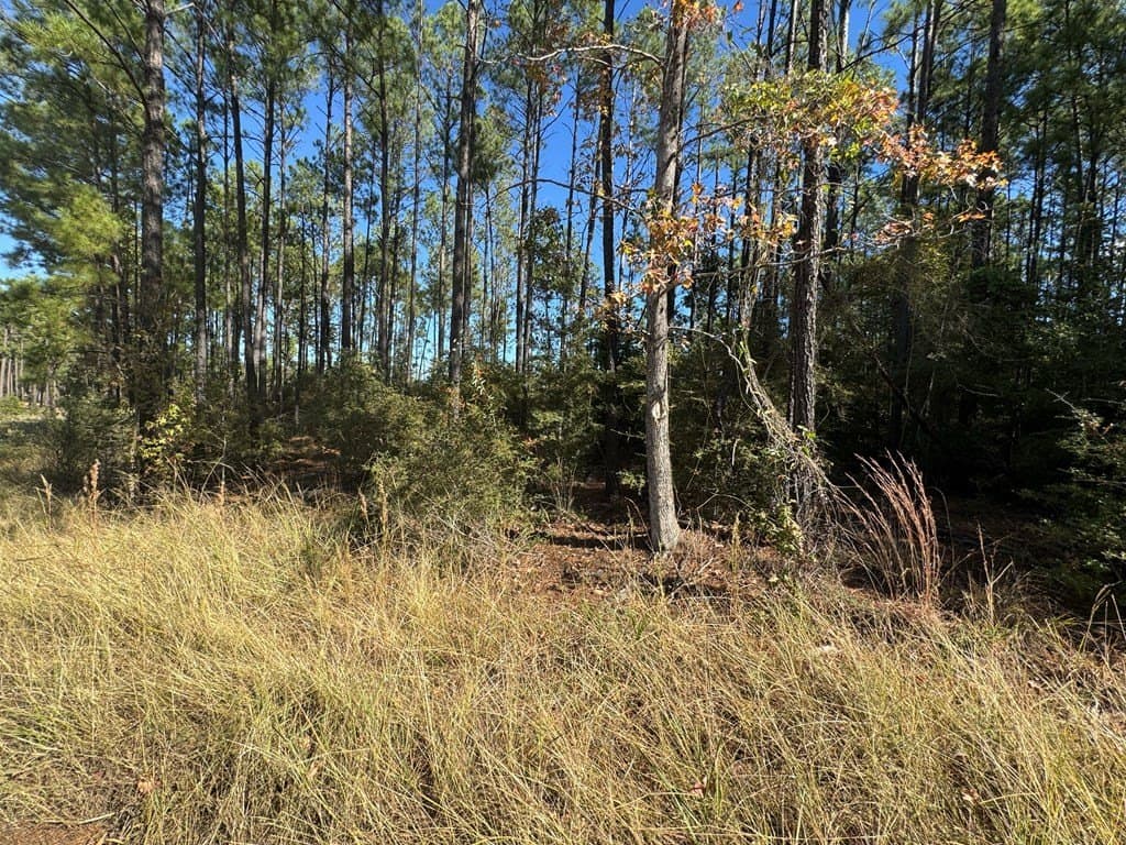 1.03 acres in Texas County - photo 8