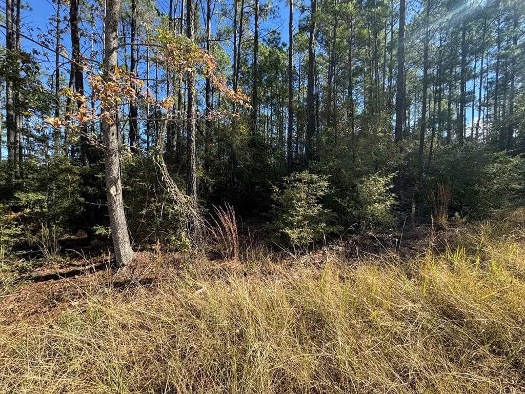 1.03 acres in Texas County