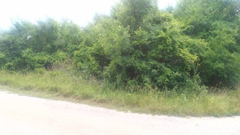 0.03 acres in Hood County gallery image 4