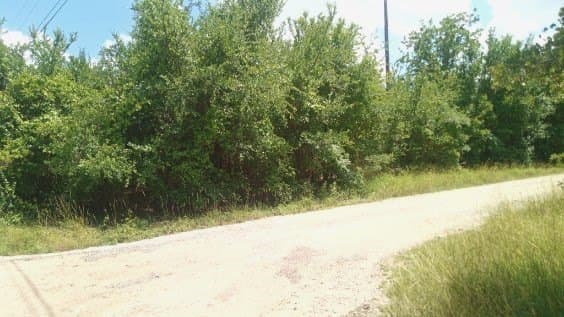 0.03 acres in Hood County gallery image 3
