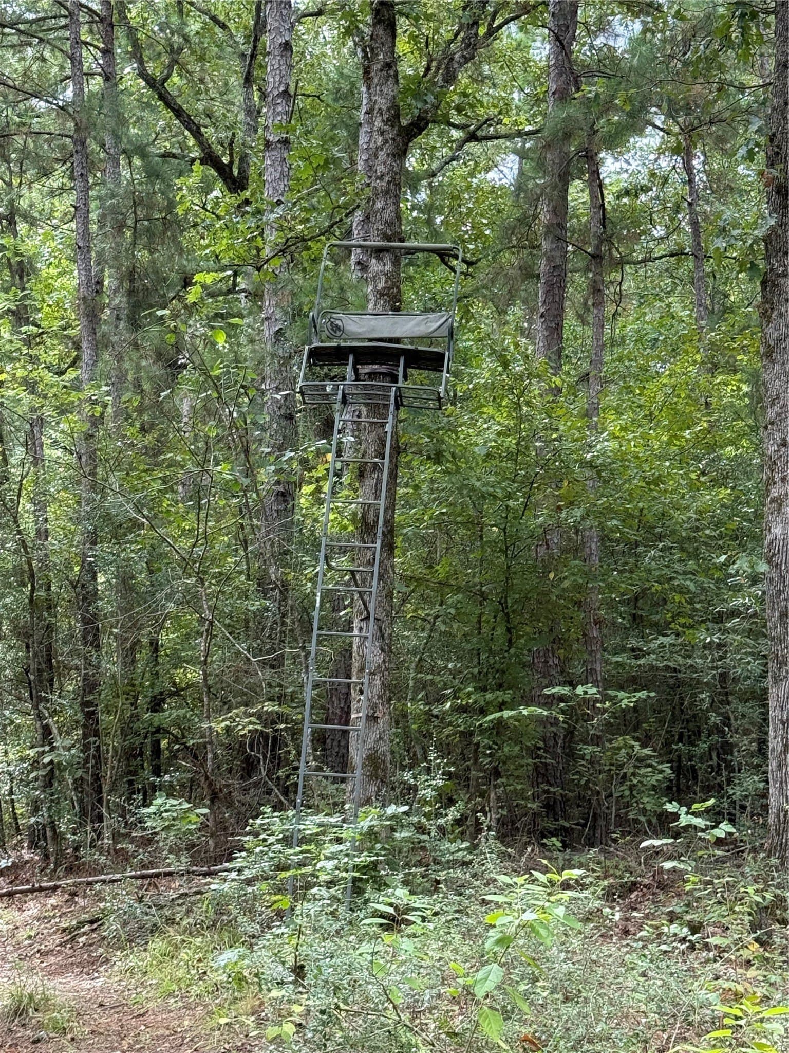 167.28 acres in Leon County - photo 11