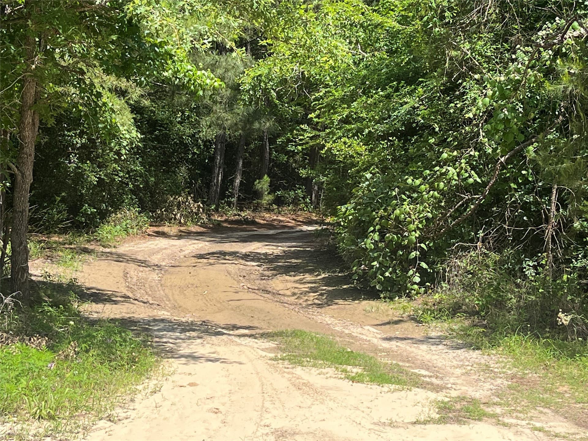 167.28 acres in Leon County