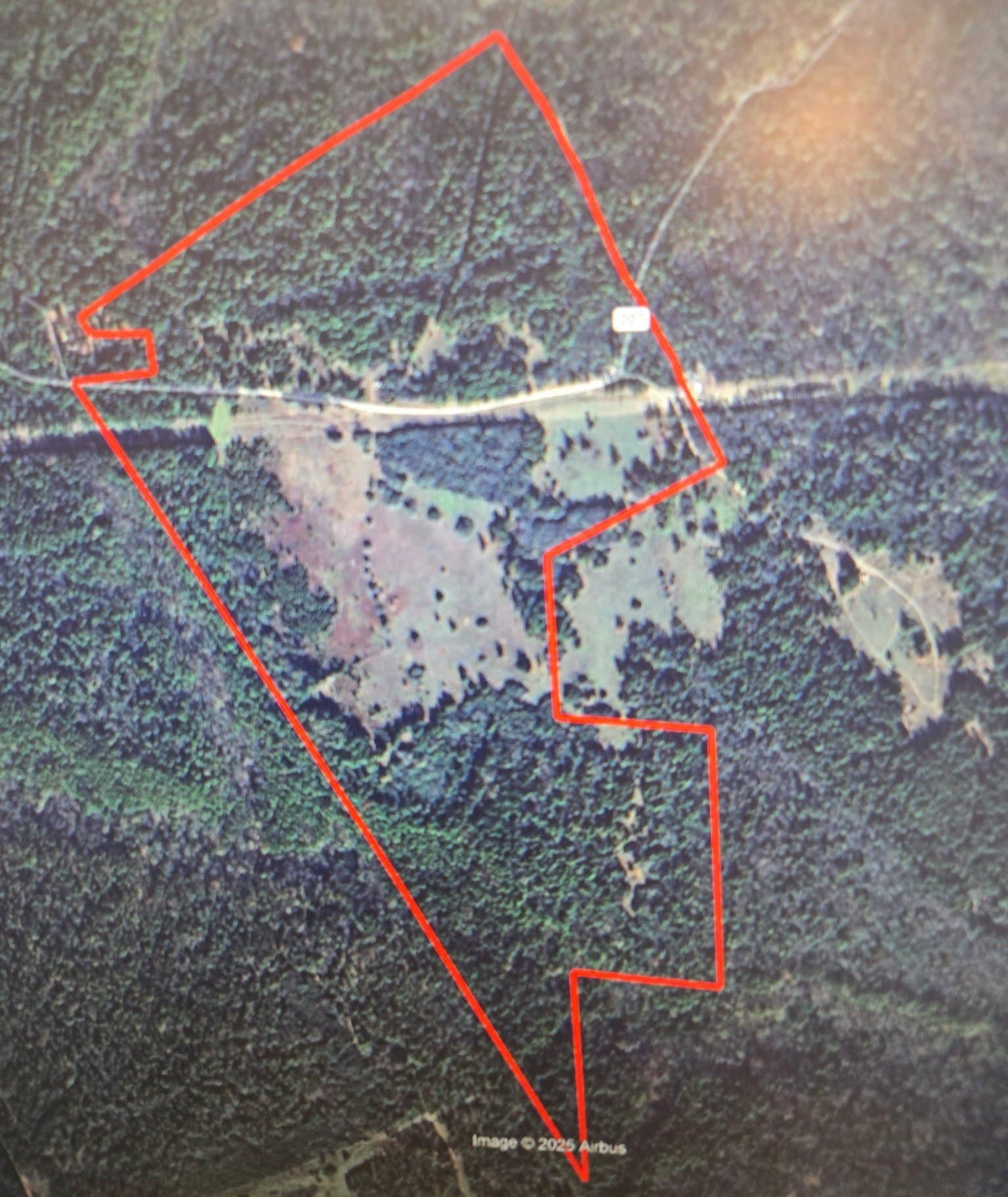 167.28 acres in Leon County - photo 13