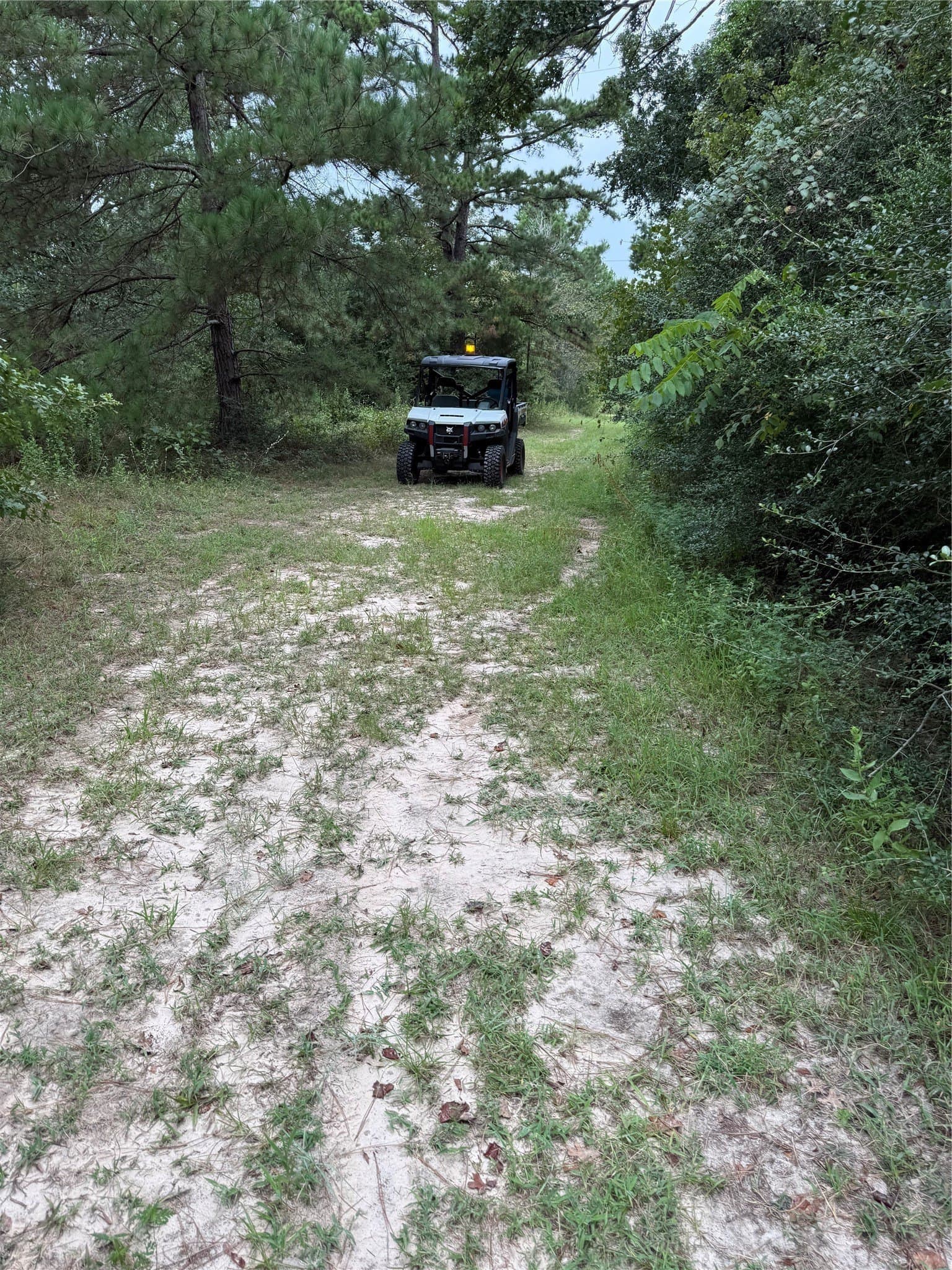 167.28 acres in Leon County - photo 2