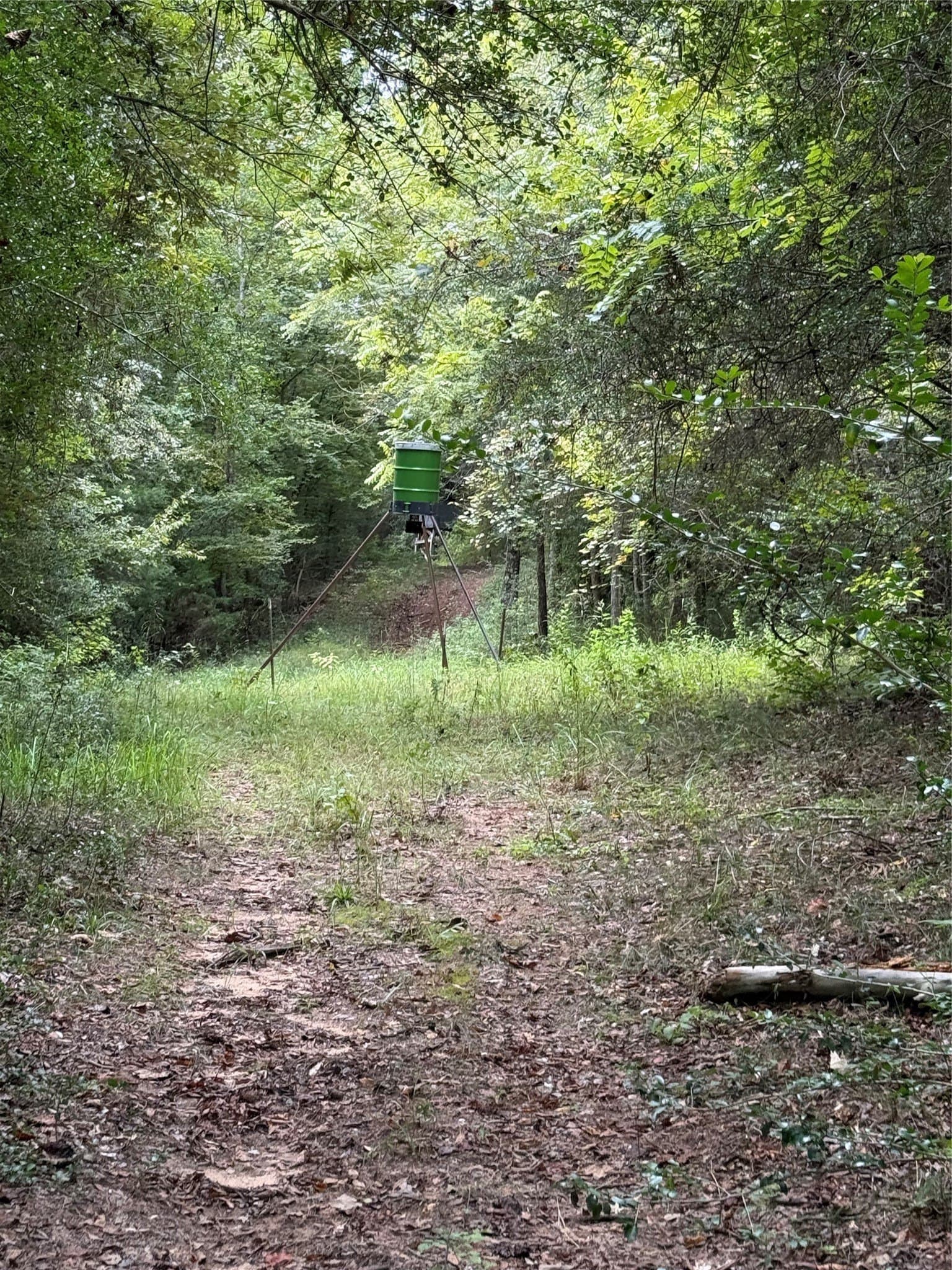 167.28 acres in Leon County - photo 10