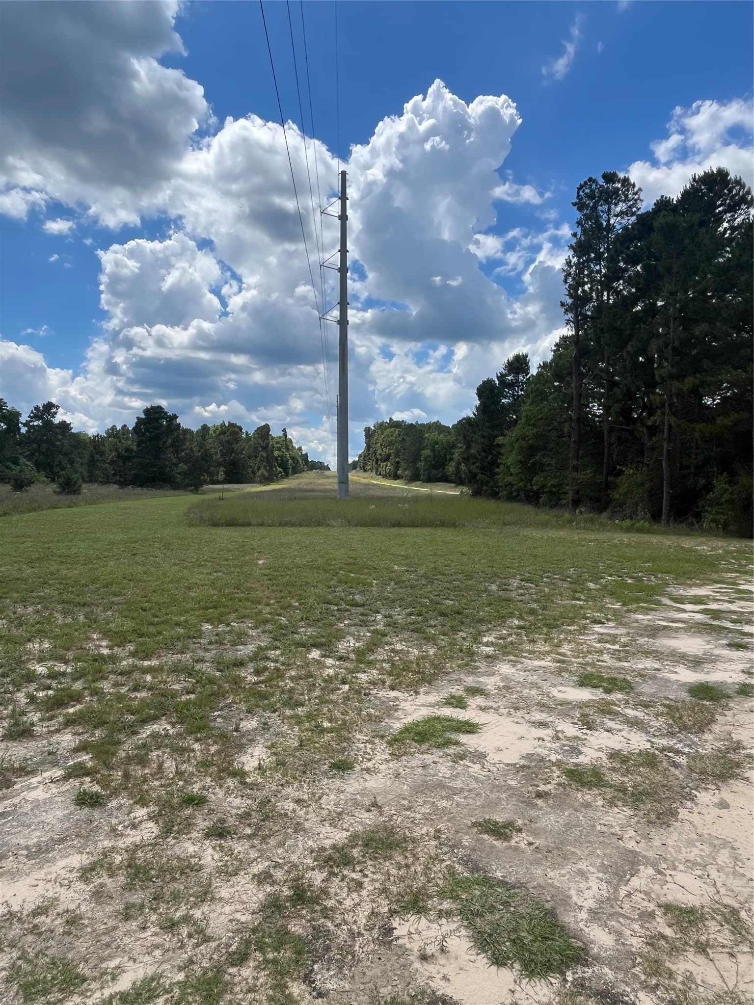 167.28 acres in Leon County - photo 7