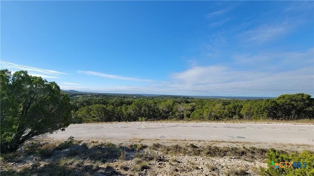 0.23 acres in Travis County gallery image 2