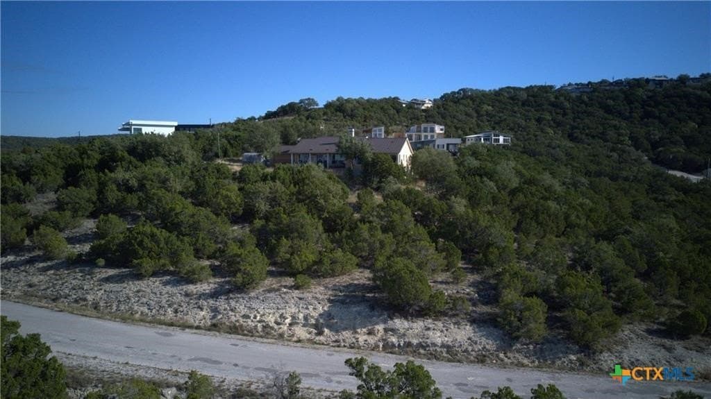 0.23 acres in Travis County gallery image 4