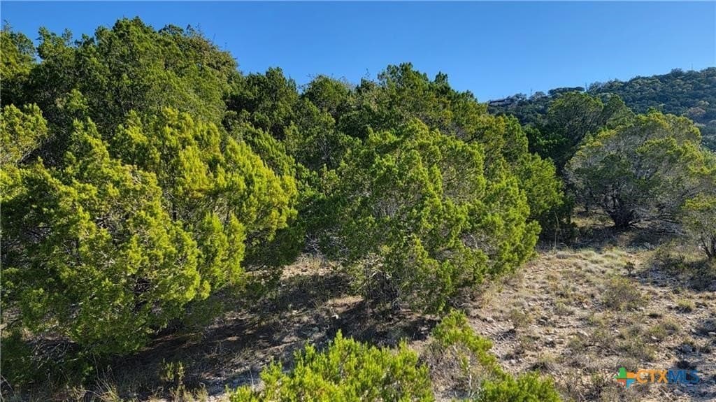 0.23 acres in Travis County gallery image 3