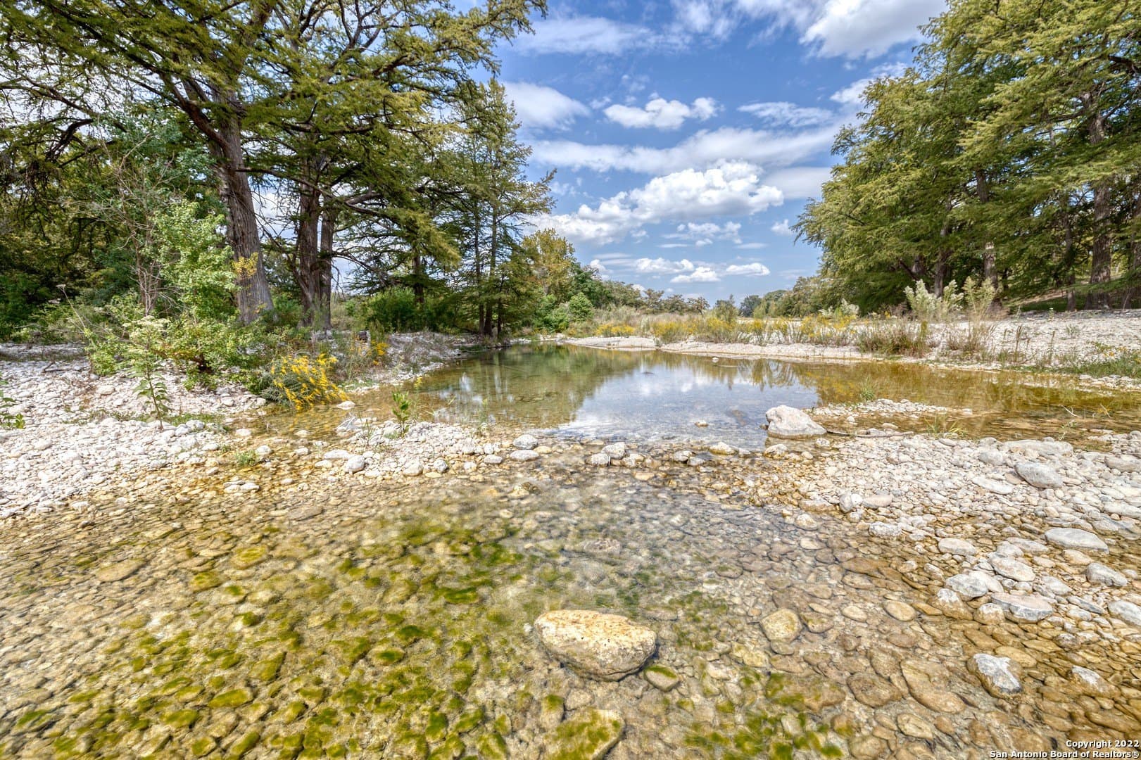 0.5 acres in Real County - photo 14