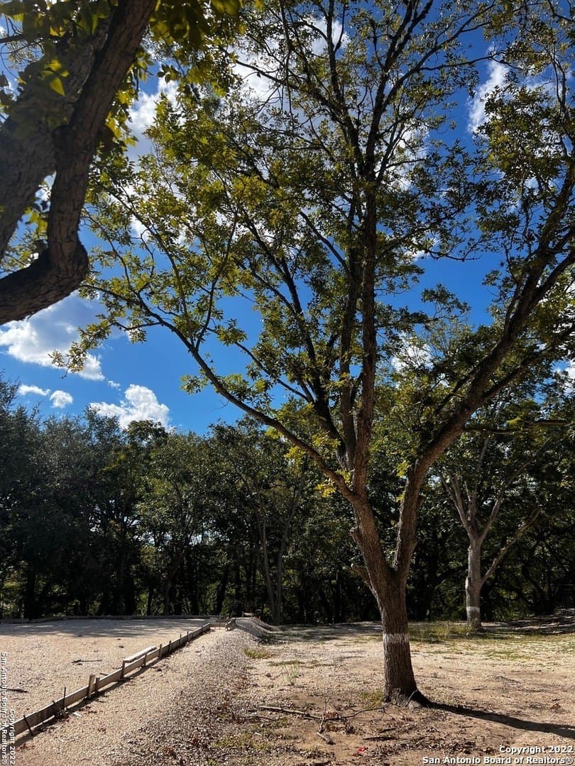 0.5 acres in Real County gallery image 2