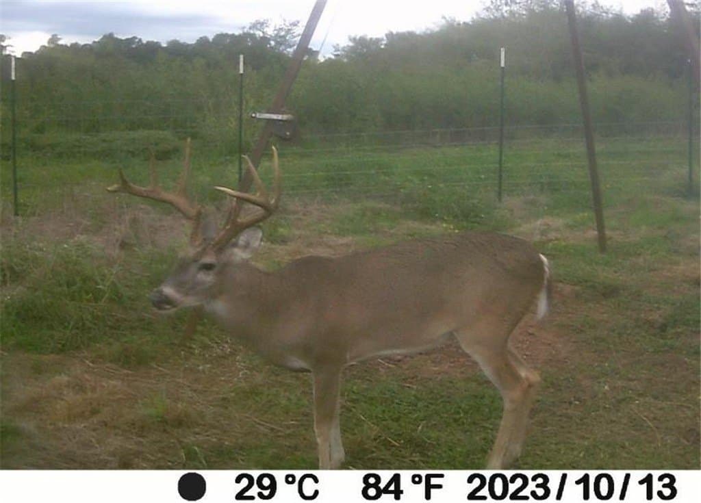 531.43 acres in Washington County featured view