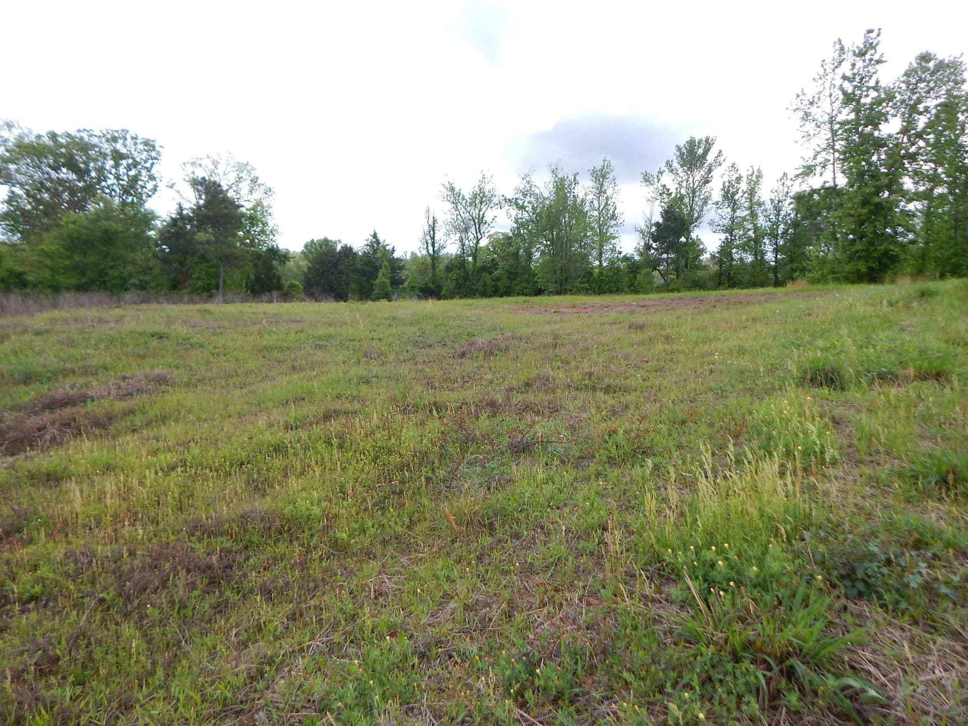 7.2 acres in Texas County