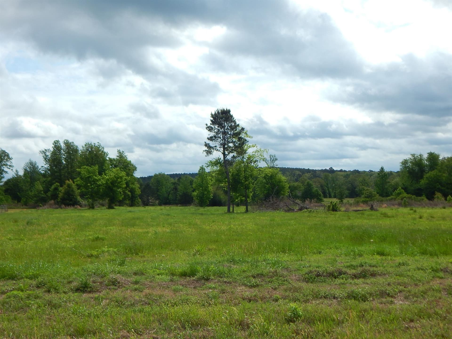 7.2 acres in Texas County gallery image 3