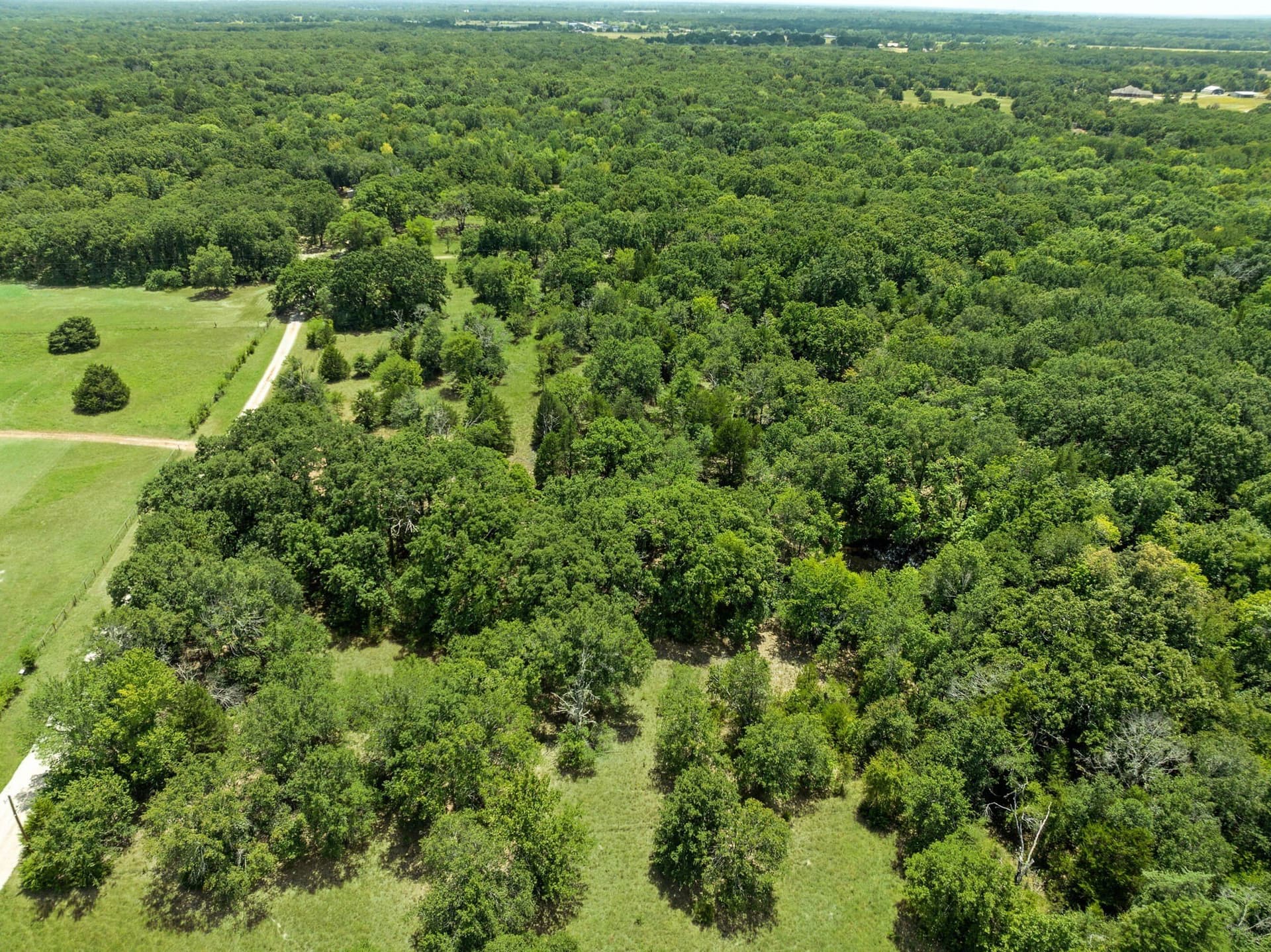 6 acres in Hunt County - photo 7