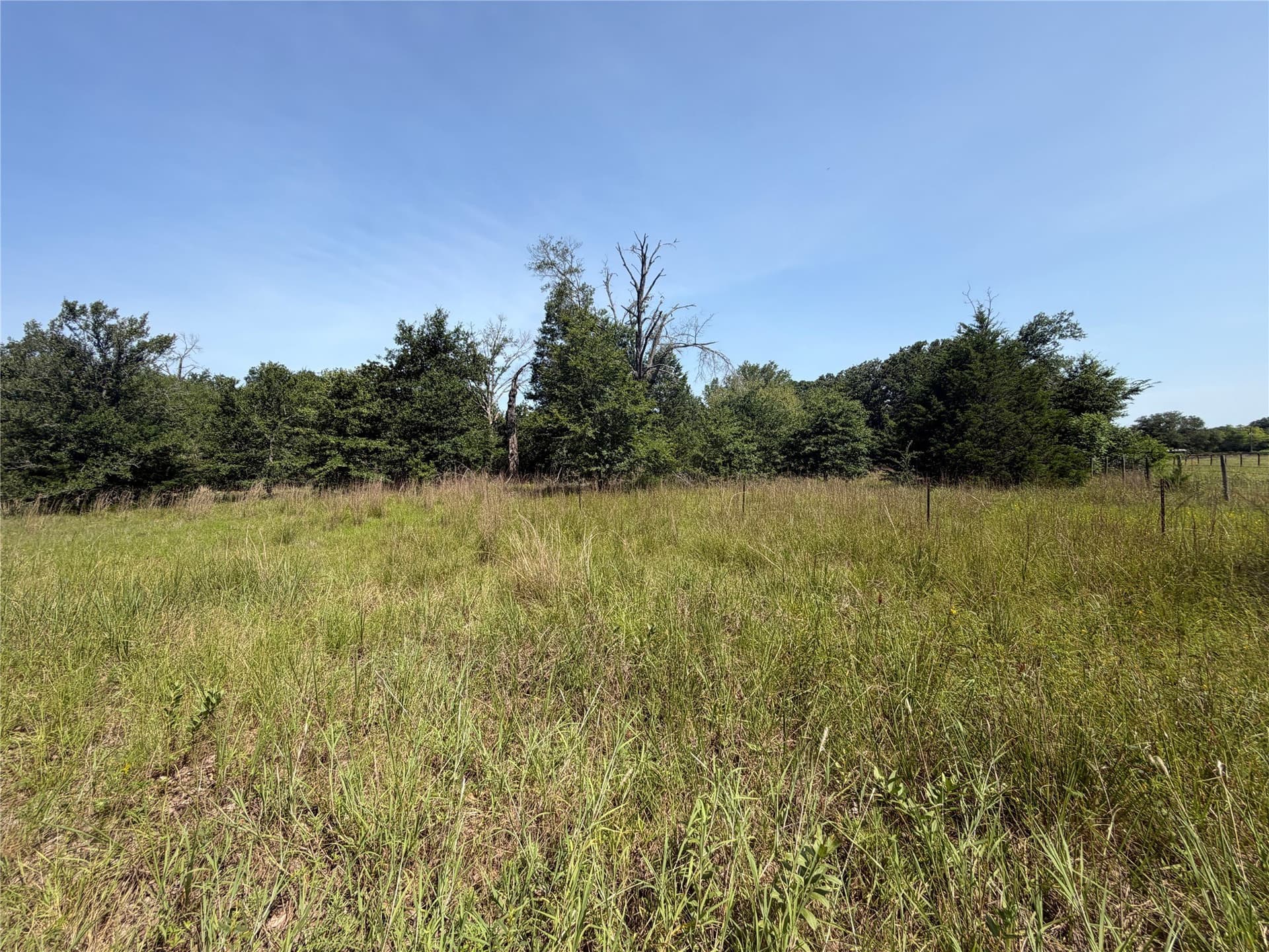 6 acres in Hunt County gallery image 3