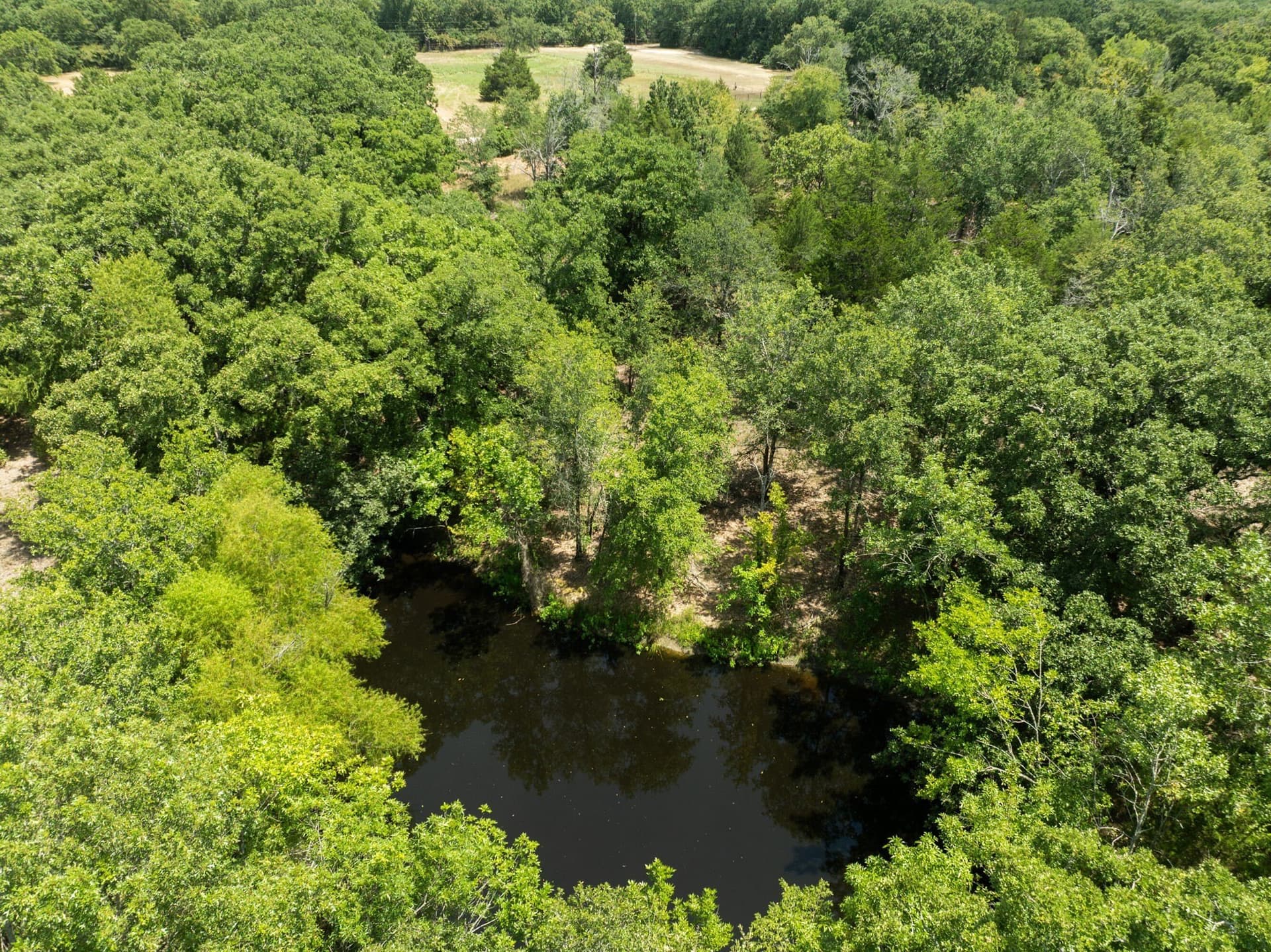 6 acres in Hunt County - photo 6