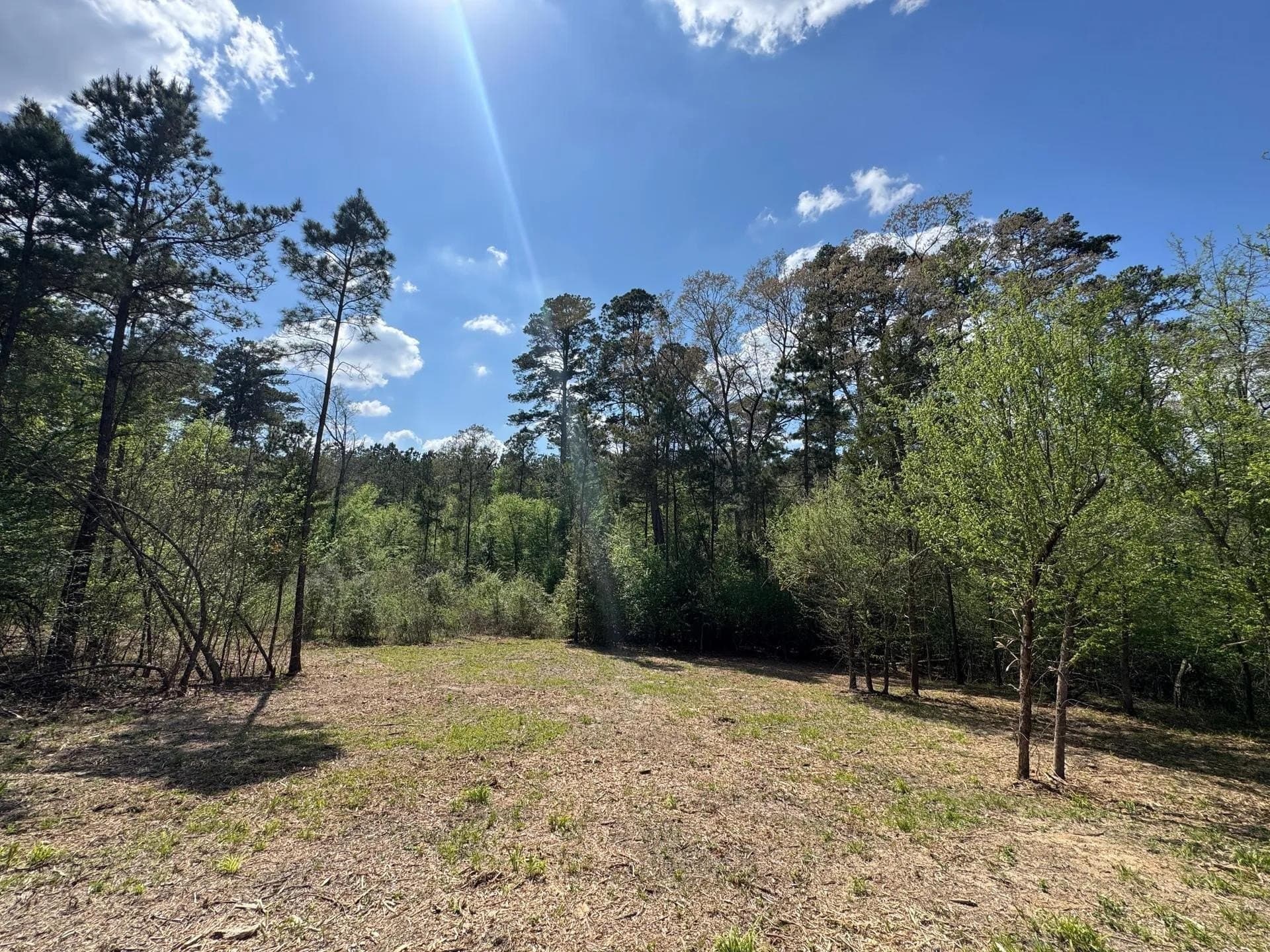 17.5 acres in Cass County featured view