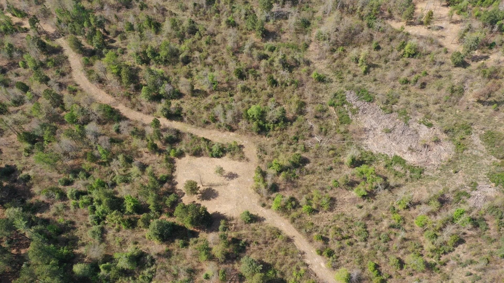 17.5 acres in Cass County gallery image 4