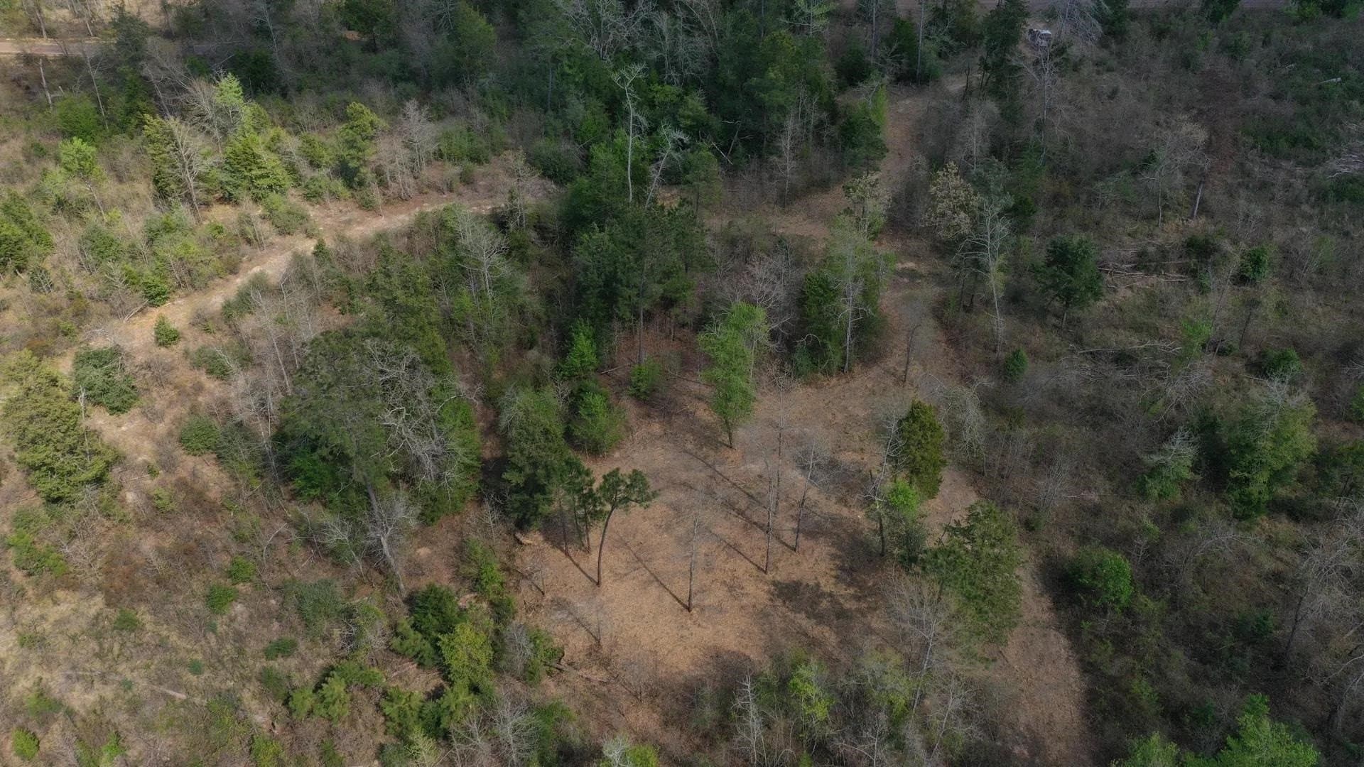 17.5 acres in Cass County gallery image 2