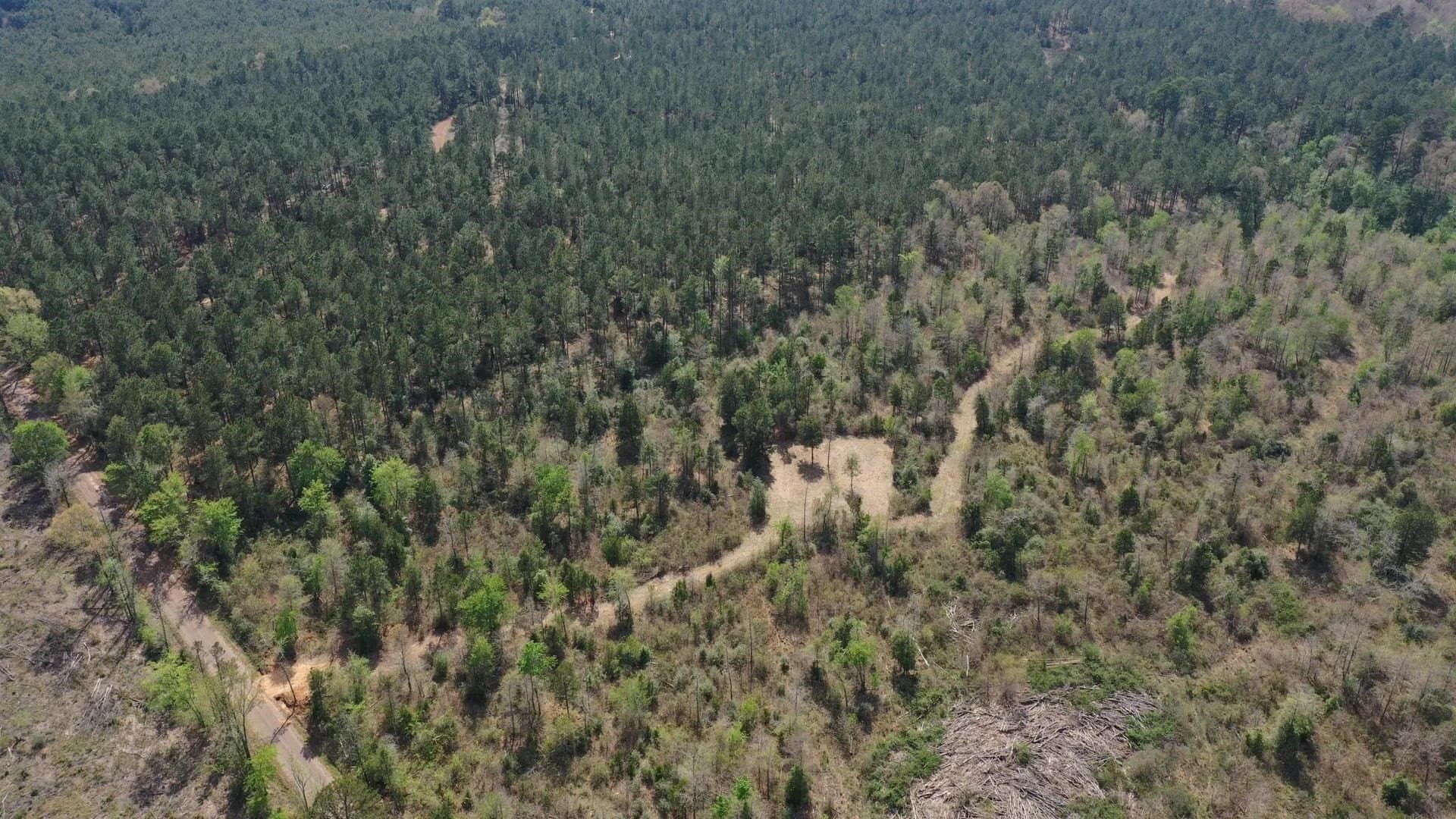 17.5 acres in Cass County gallery image 3