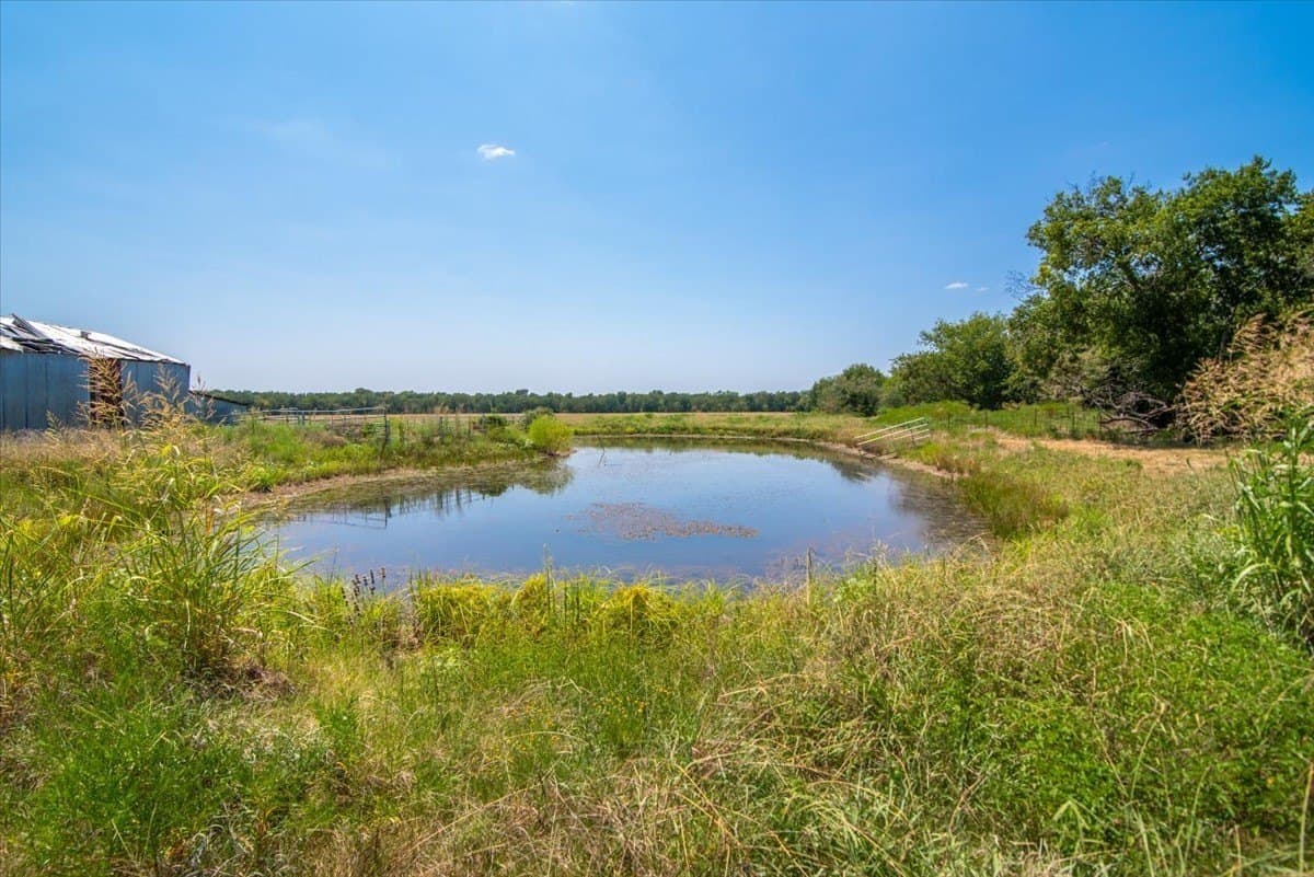 47.5 acres in Fannin County - photo 8
