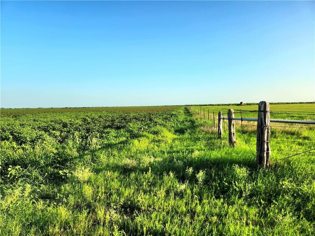 147.58 acres in Nueces County featured view