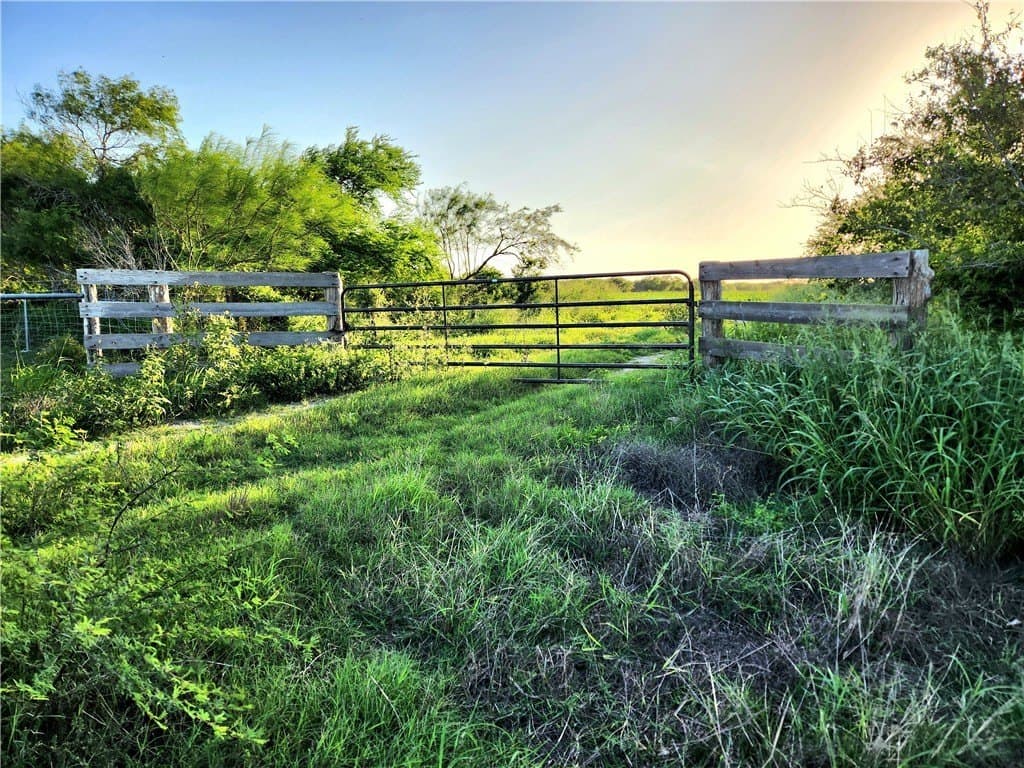 147.58 acres in Nueces County gallery image 3