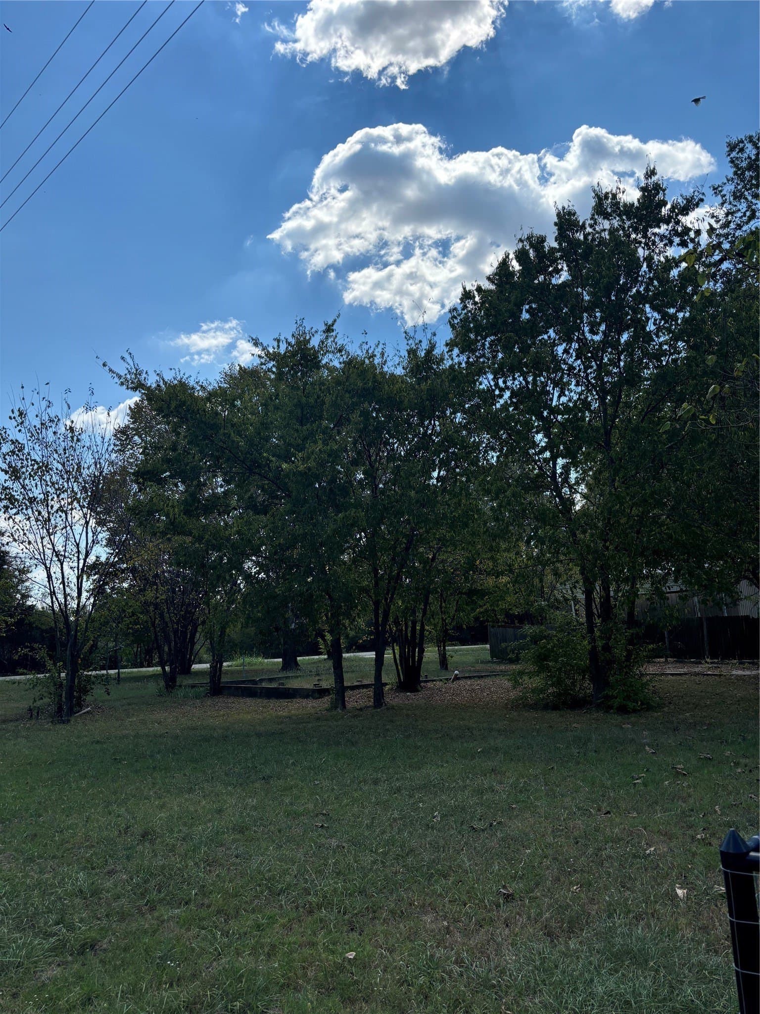 0.29 acres in Dallas County - photo 9