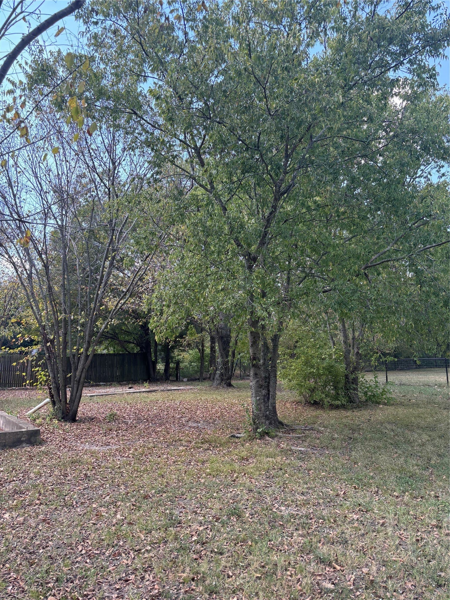 0.29 acres in Dallas County - photo 7