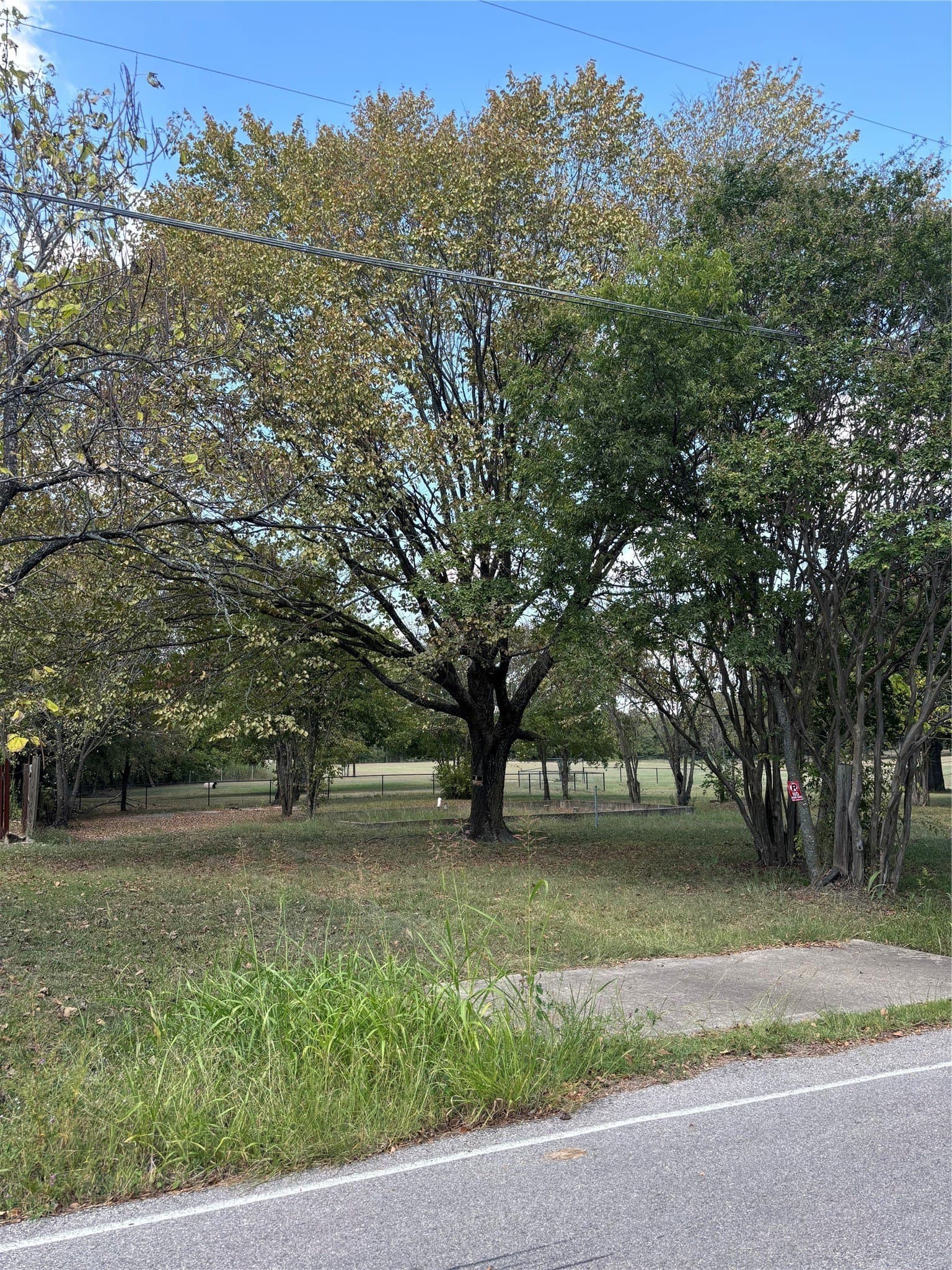 0.29 acres in Dallas County - photo 3