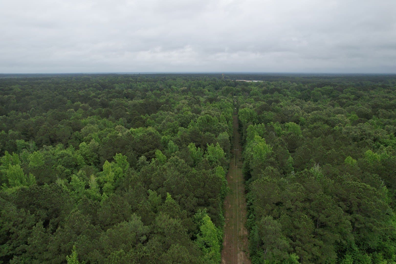 20.58 acres in Cass County - photo 9