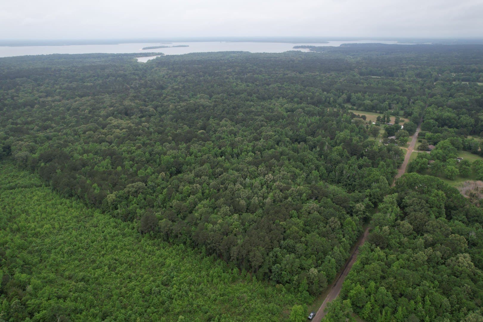 20.58 acres in Cass County - photo 6