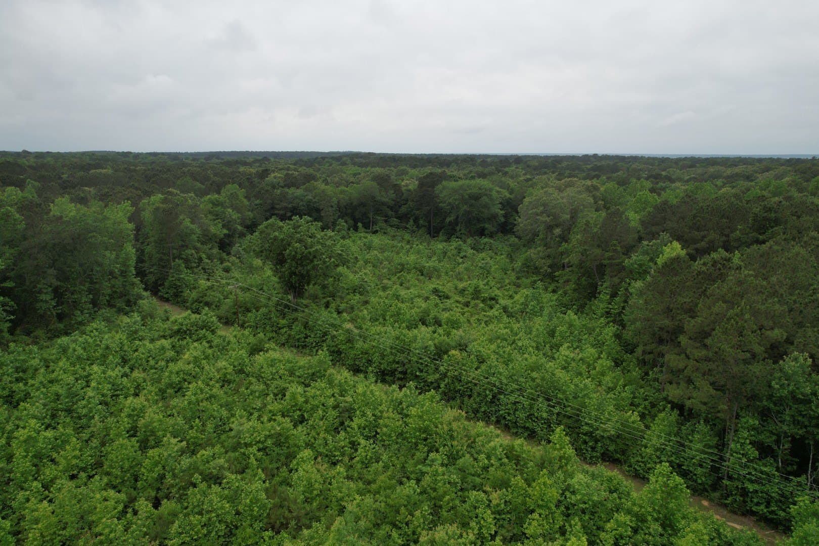 20.58 acres in Cass County - photo 8